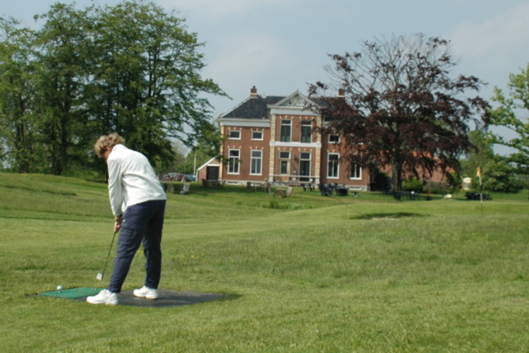 Pitch and putt