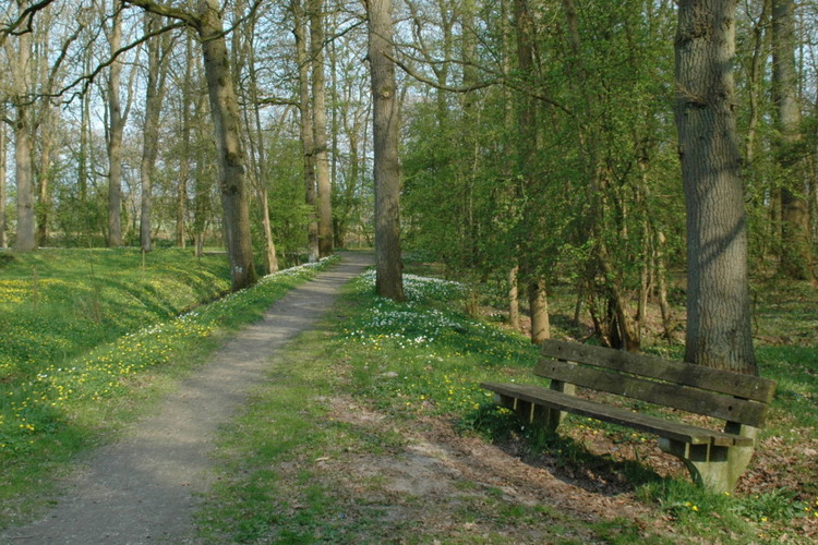 wandelen in het oldambt